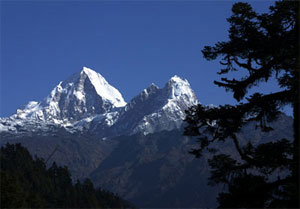 Lantang Tilman pass trekking